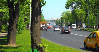 Посадка деревьев и кустарников в Волжском — стоимость от 1216 руб.